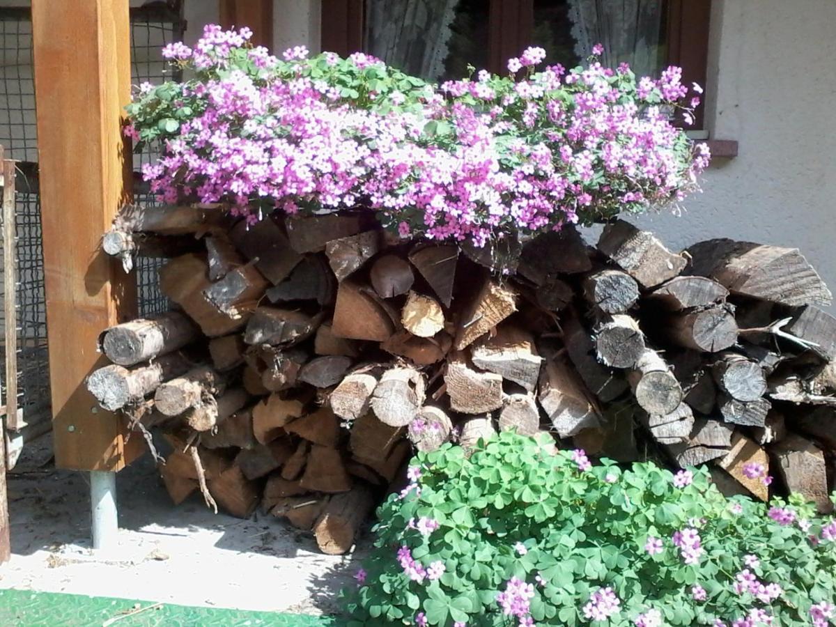 Urlaub Auf Dem Haenslehof Apartment เอลซาค ภายนอก รูปภาพ