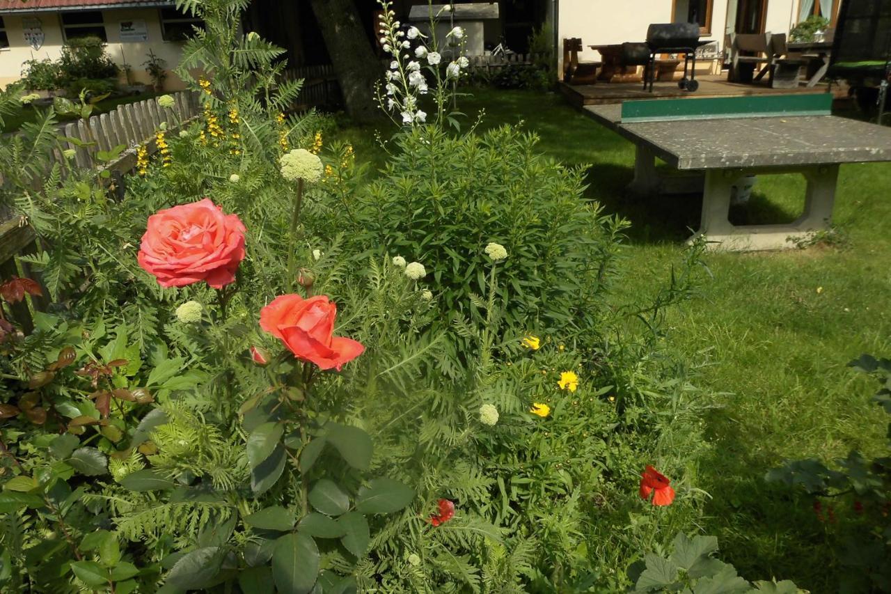 Urlaub Auf Dem Haenslehof Apartment เอลซาค ภายนอก รูปภาพ