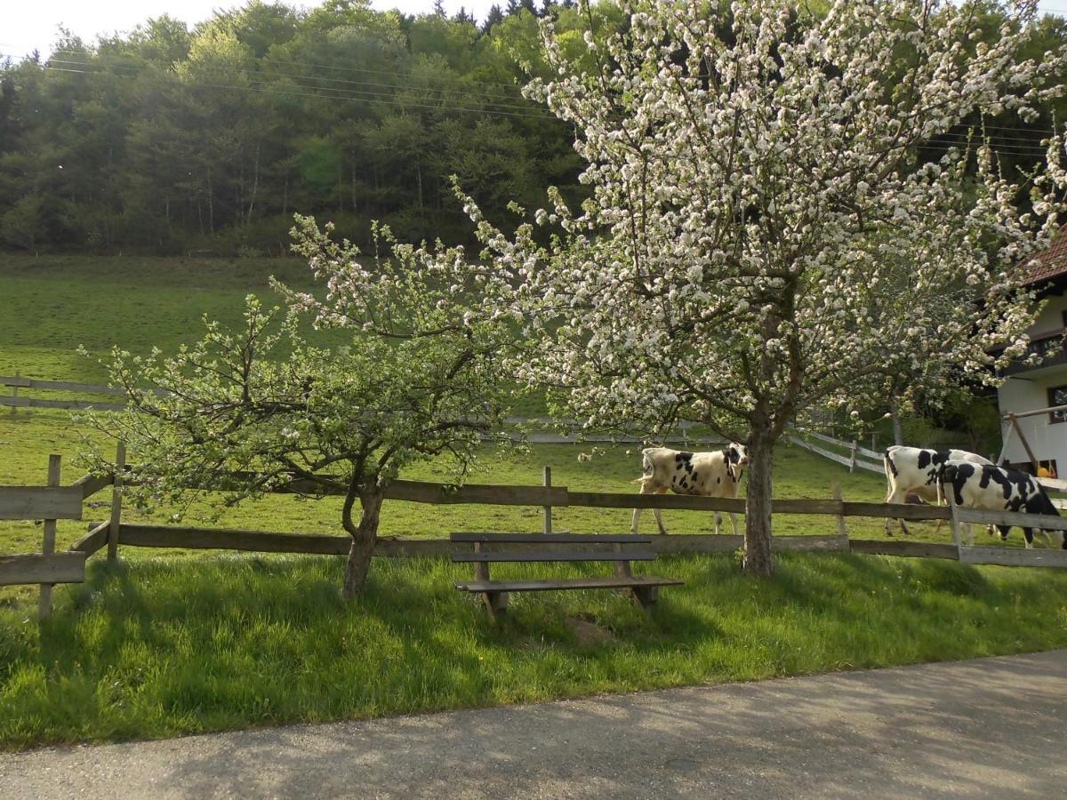 Urlaub Auf Dem Haenslehof Apartment เอลซาค ภายนอก รูปภาพ