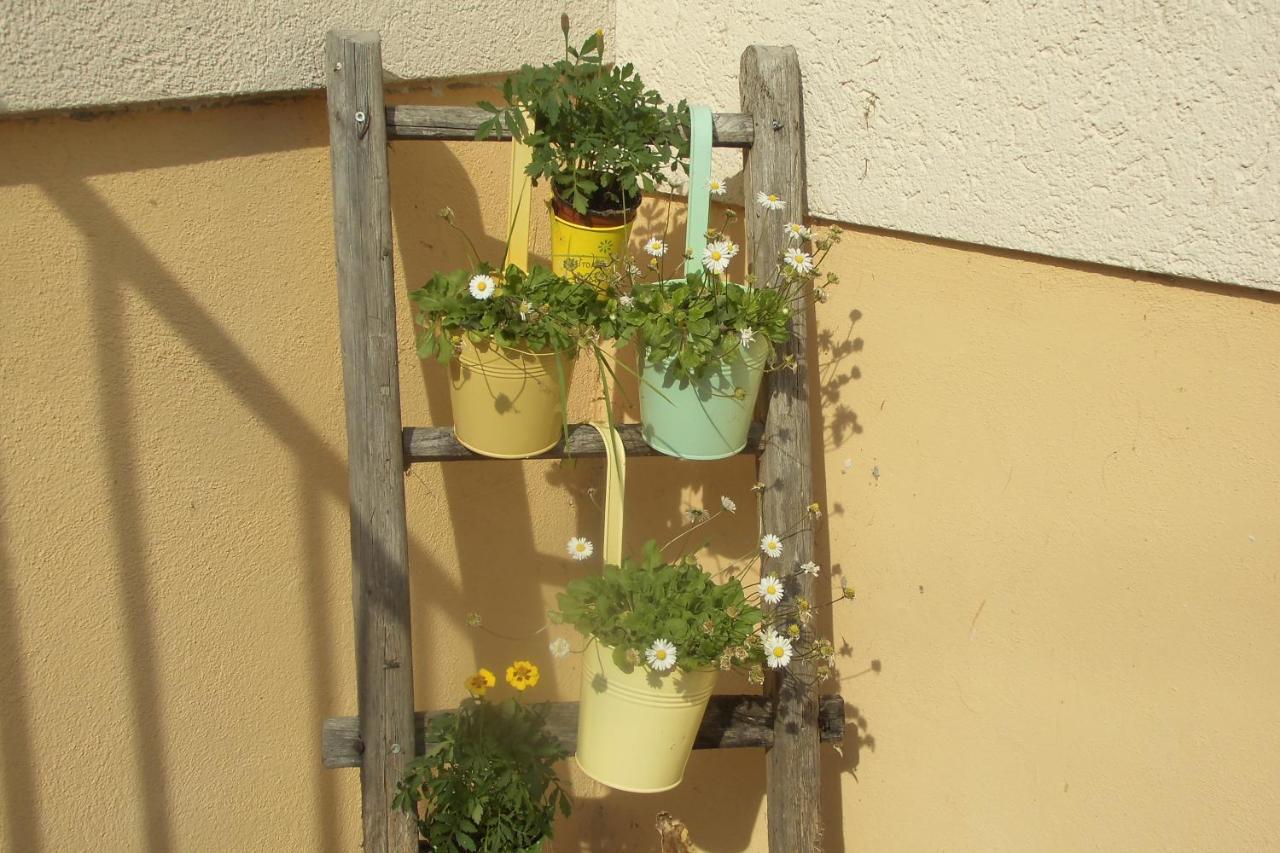 Urlaub Auf Dem Haenslehof Apartment เอลซาค ภายนอก รูปภาพ