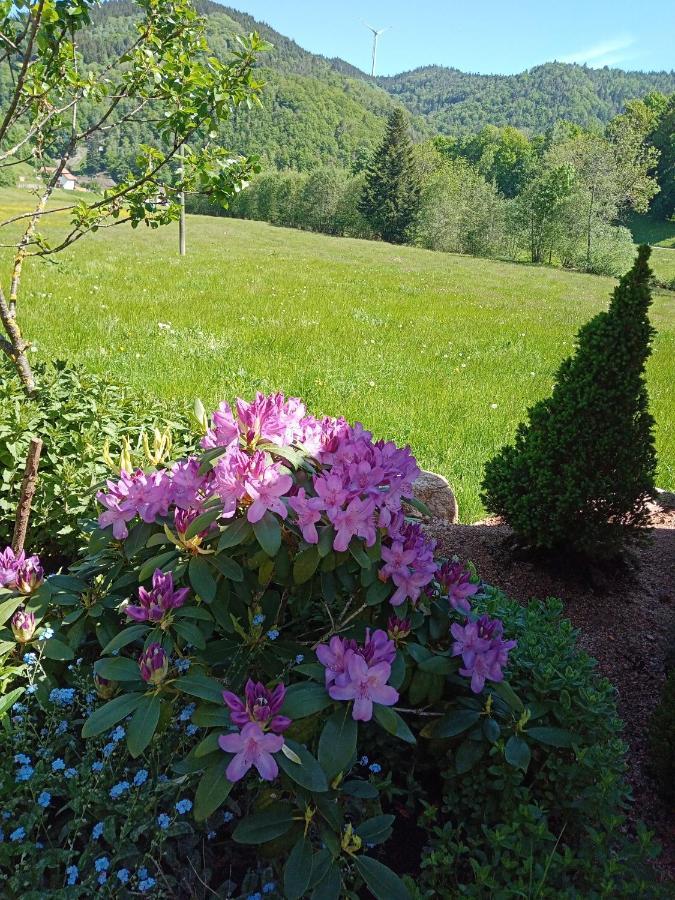 Urlaub Auf Dem Haenslehof Apartment เอลซาค ภายนอก รูปภาพ