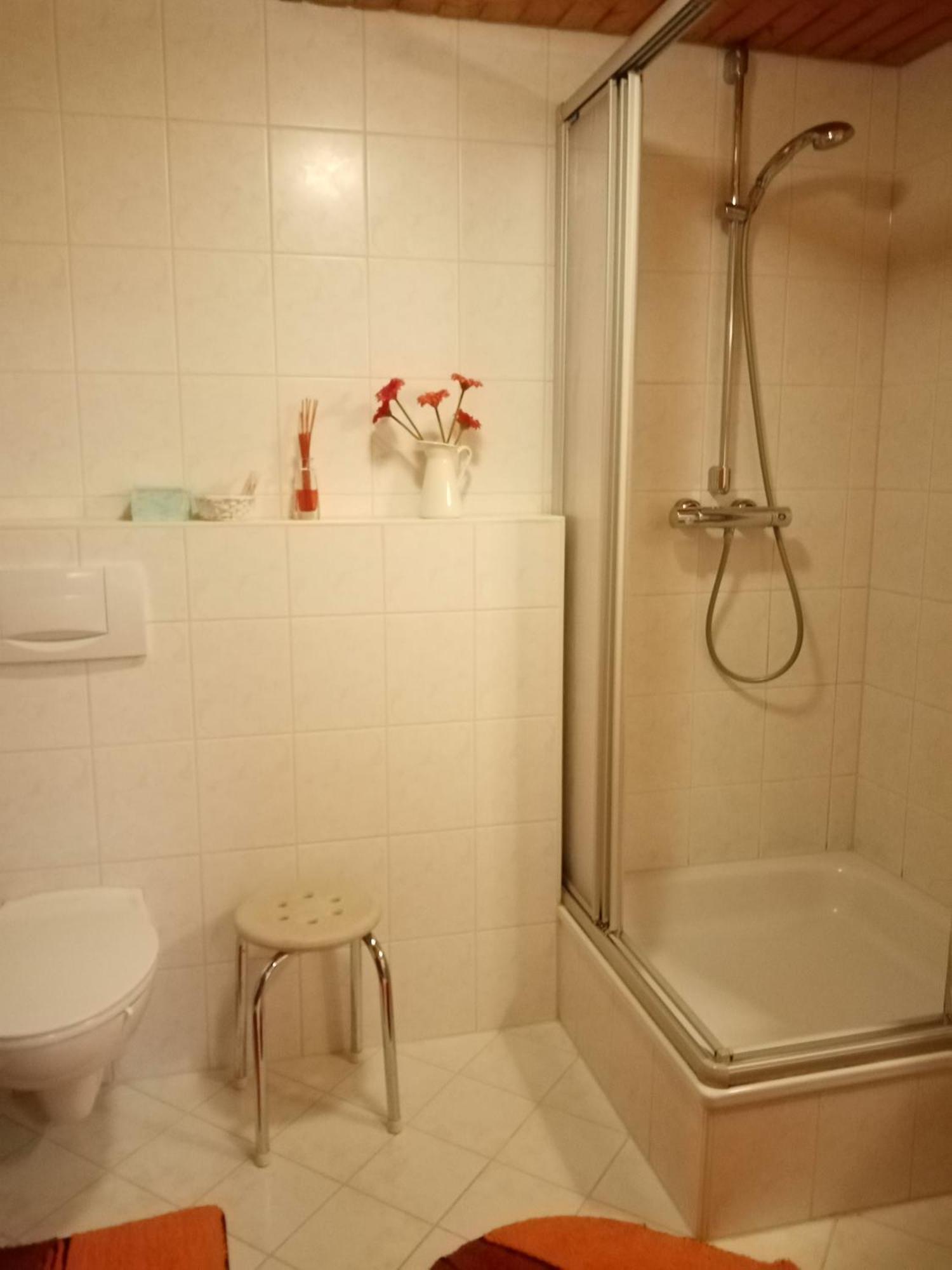 Urlaub Auf Dem Haenslehof Apartment เอลซาค ภายนอก รูปภาพ