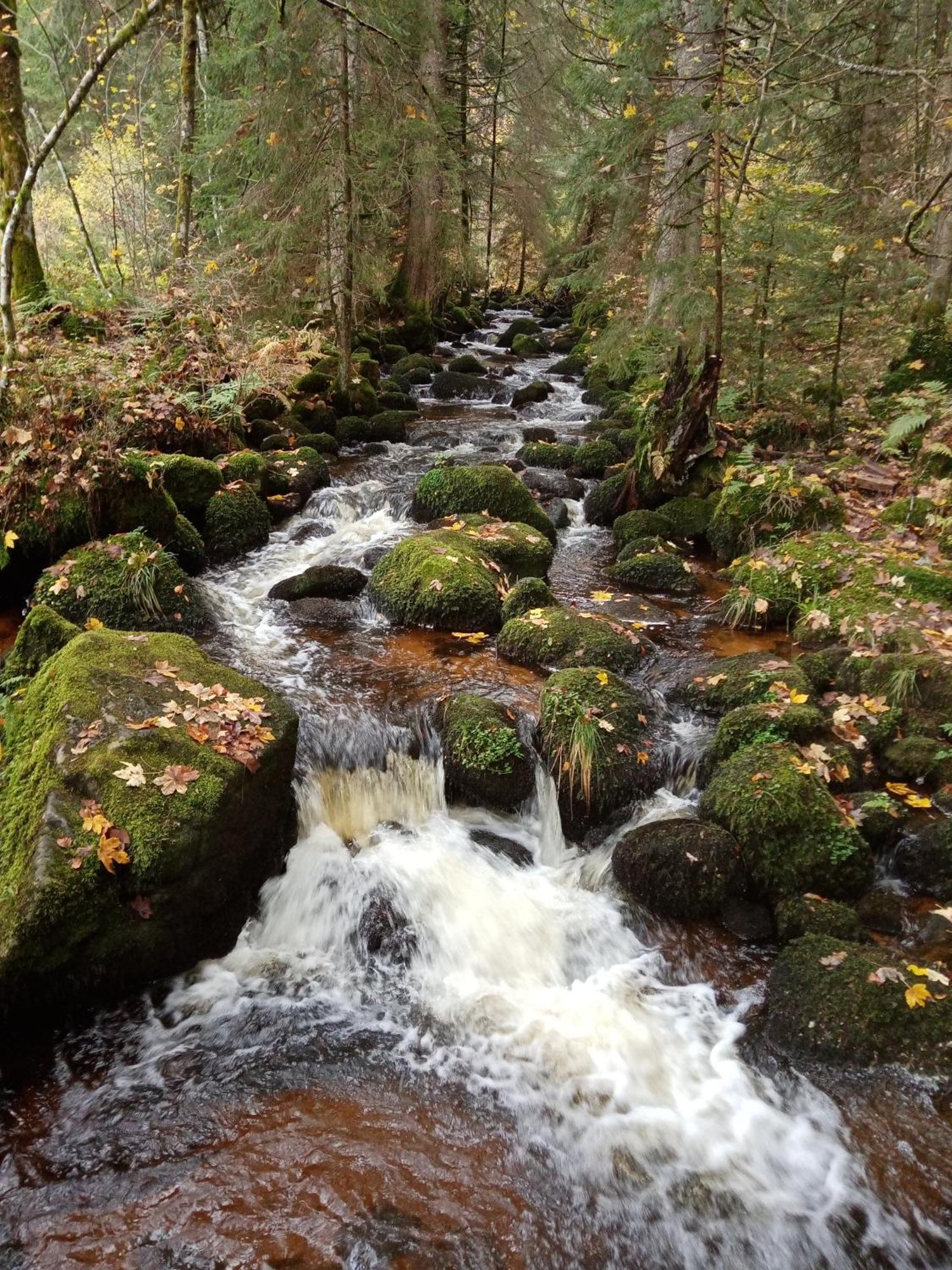 Urlaub Auf Dem Haenslehof Apartment เอลซาค ภายนอก รูปภาพ