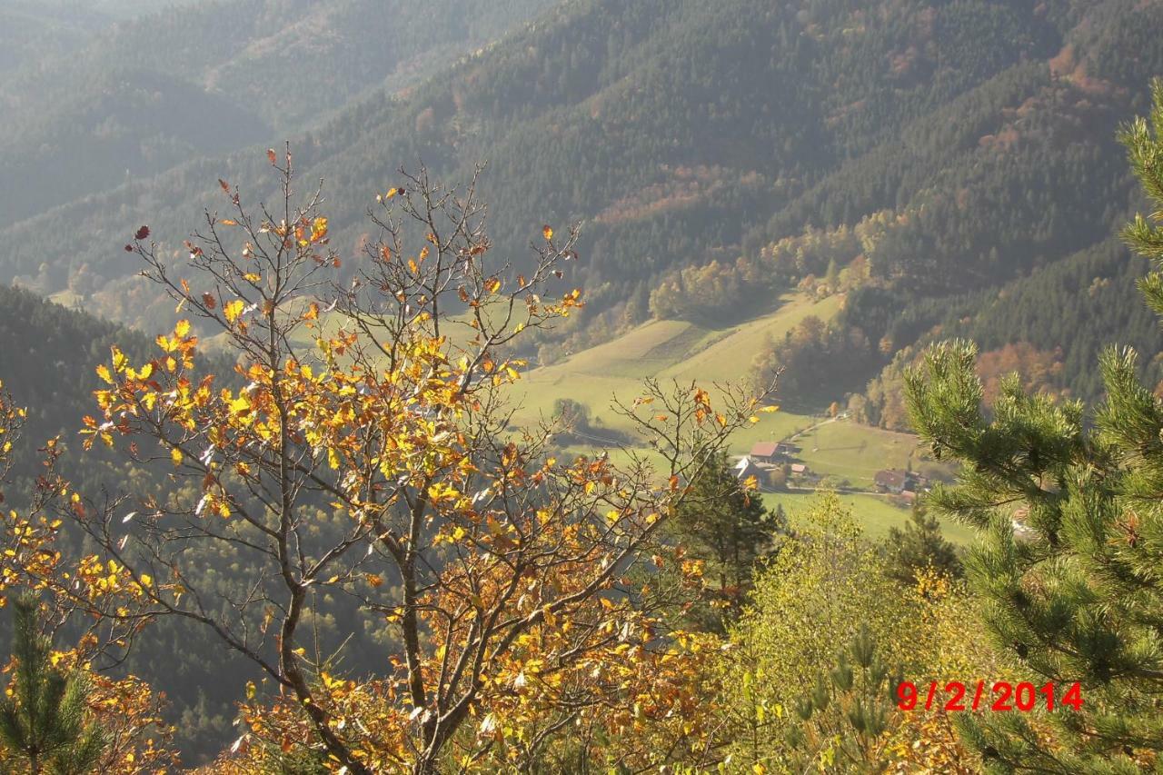 Urlaub Auf Dem Haenslehof Apartment เอลซาค ภายนอก รูปภาพ