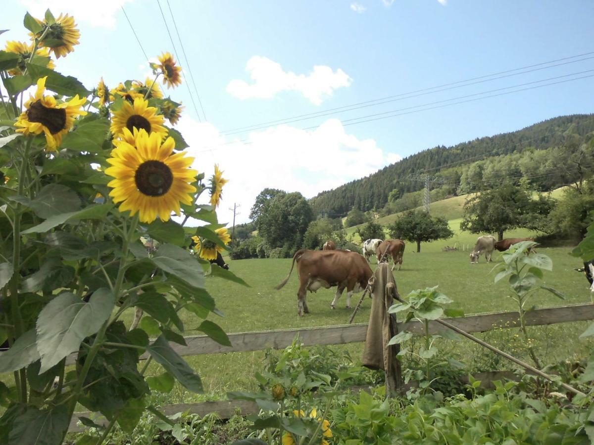 Urlaub Auf Dem Haenslehof Apartment เอลซาค ภายนอก รูปภาพ